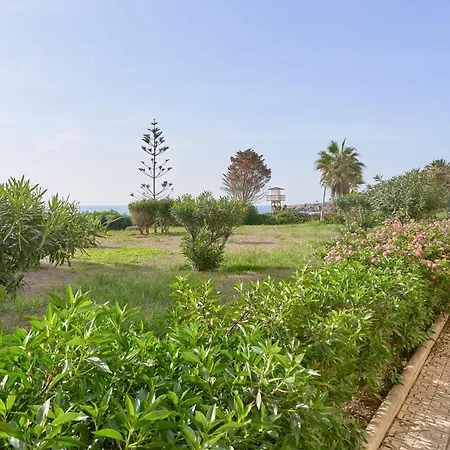 Penoncillo